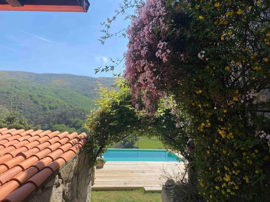 La Loba - Un Pequeno Paraiso A Tu Alcance Villa Fornelos de Montes Eksteriør billede