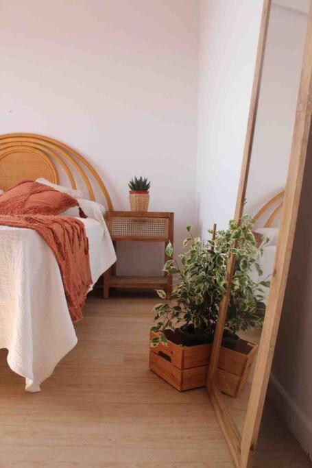 La Loba - Un Pequeno Paraiso A Tu Alcance Villa Fornelos de Montes Eksteriør billede
